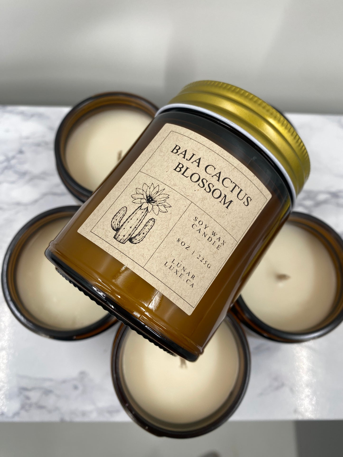 Baja Cactus Blossom Candle